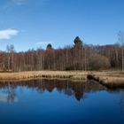 Moorweiher im roten Moor