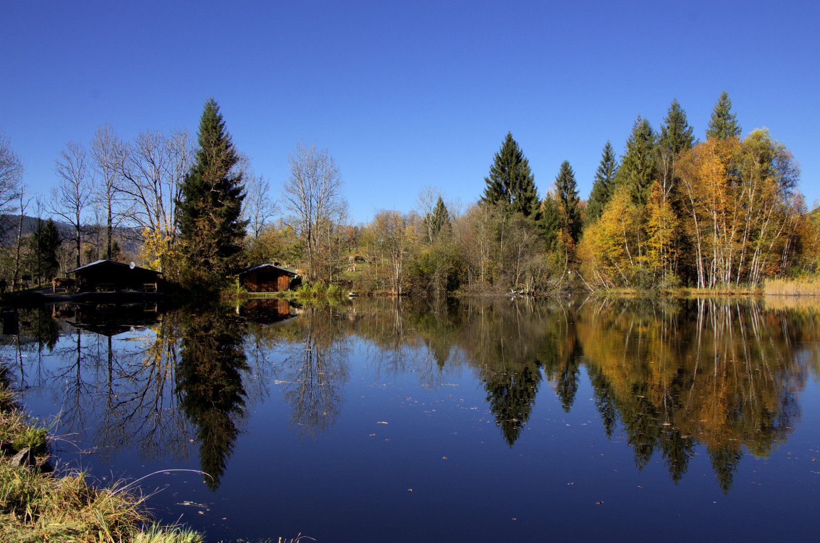 Moorweiher Oberstdorf