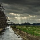 Moorwiese am Dümmersee