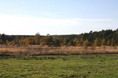 Moorwiesenlandschaft neben der A 9 beim Hermsdorfer Kreuz