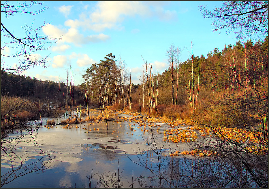 Moorzeiten und Winter...