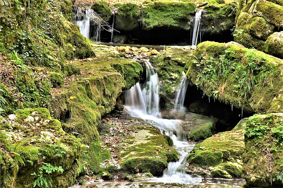 Moos auf Stein Foto & Bild wasser, natur, landschaft Bilder auf