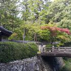 Moos Tempel Kyoto