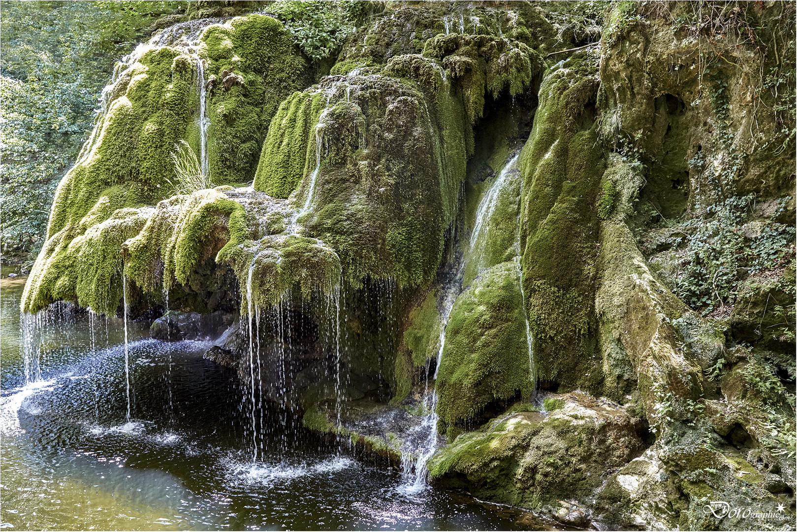 Moos über Moos Foto & Bild wasser, natur, landschaft Bilder auf
