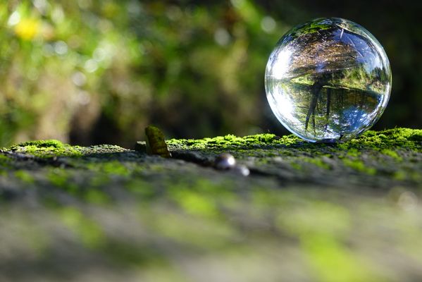 Moos und Kugel