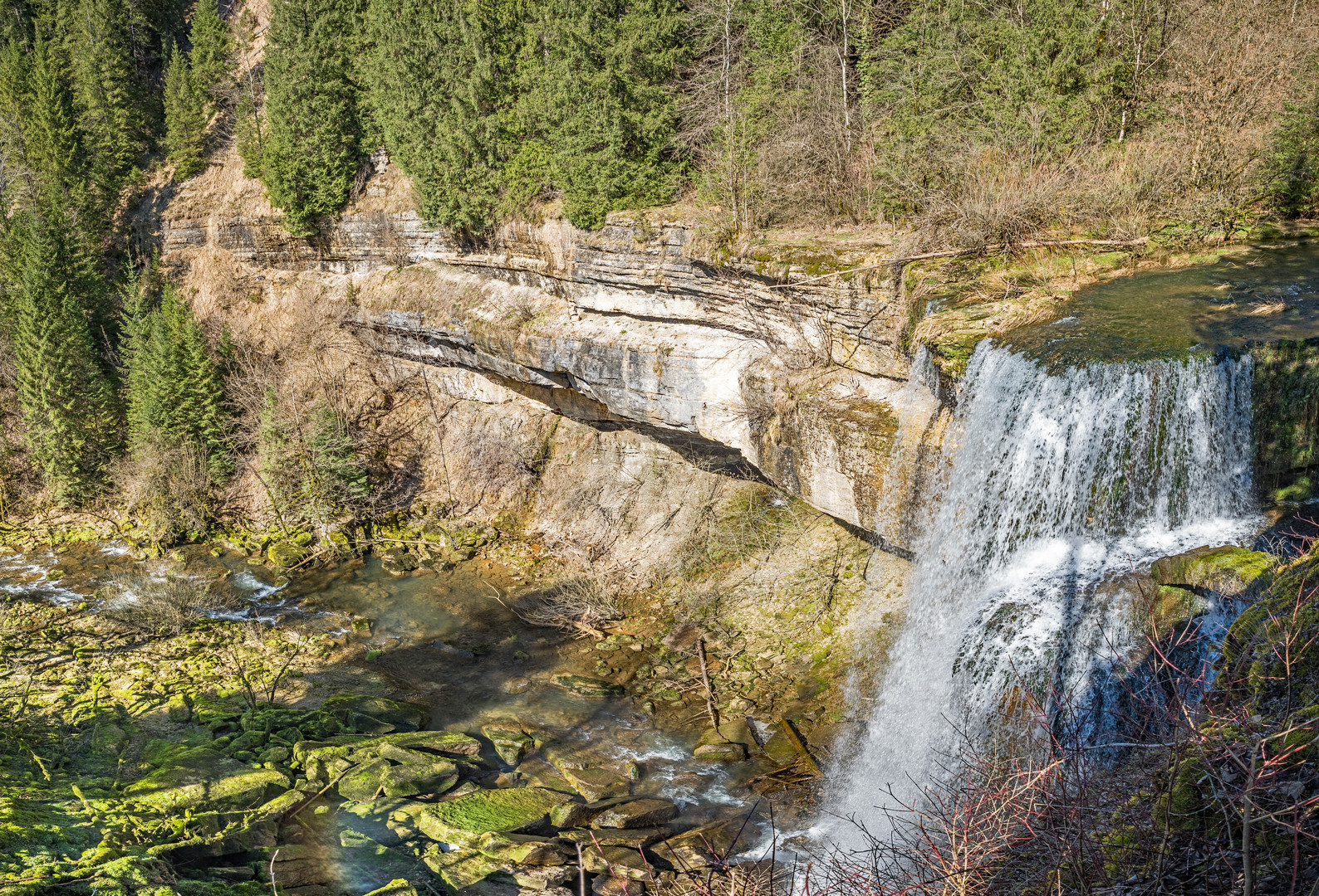 Moos und Wasser