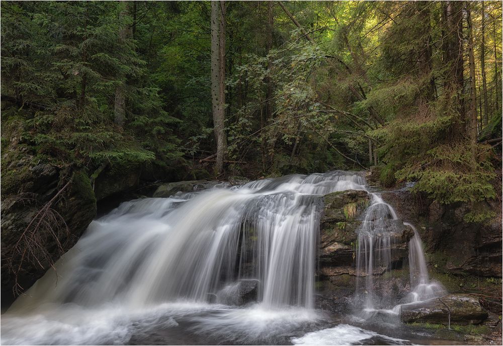 Moosbach Foto & Bild wald, natur, landschaft Bilder auf