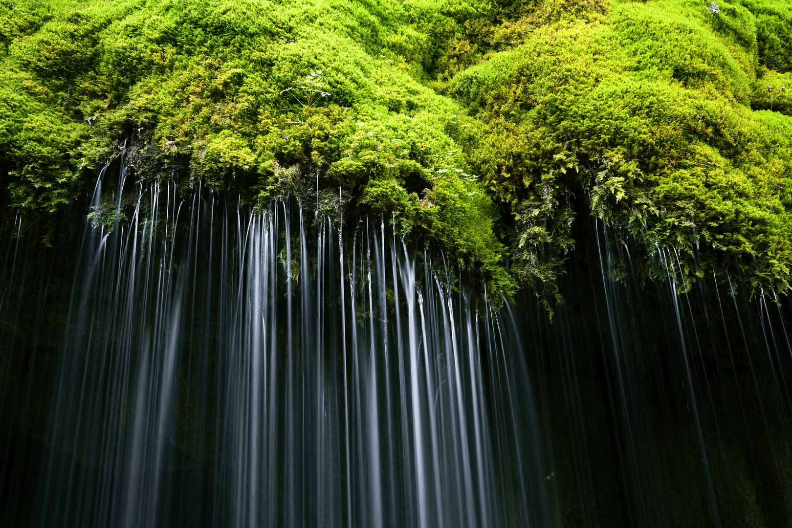 Moosbedeckter Wasserfall