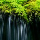 Moosbedeckter Wasserfall