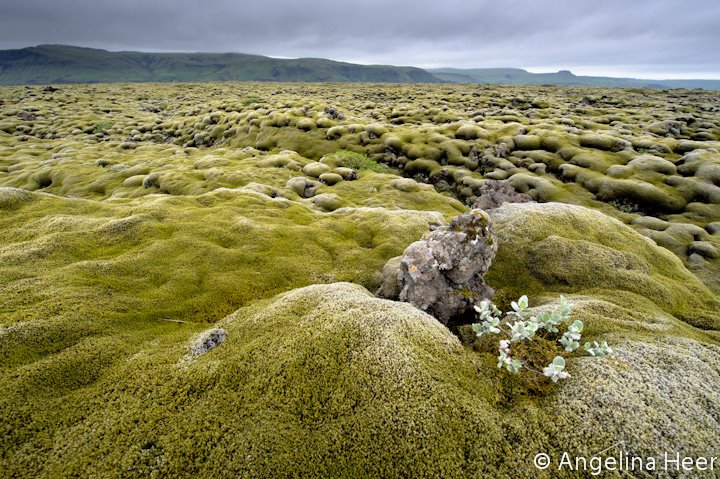 Moosberge Island