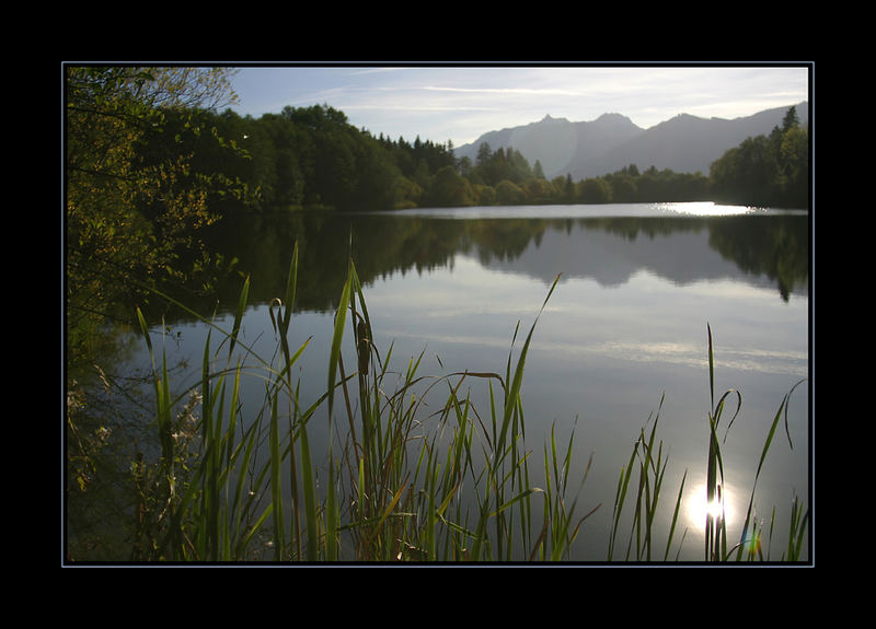 Moosbergsee