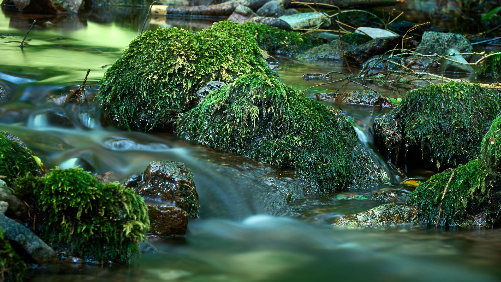 moosbewachsene Steine im Bach