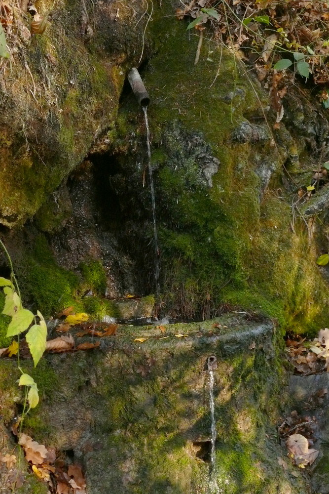 moosbewachsener Brunnen