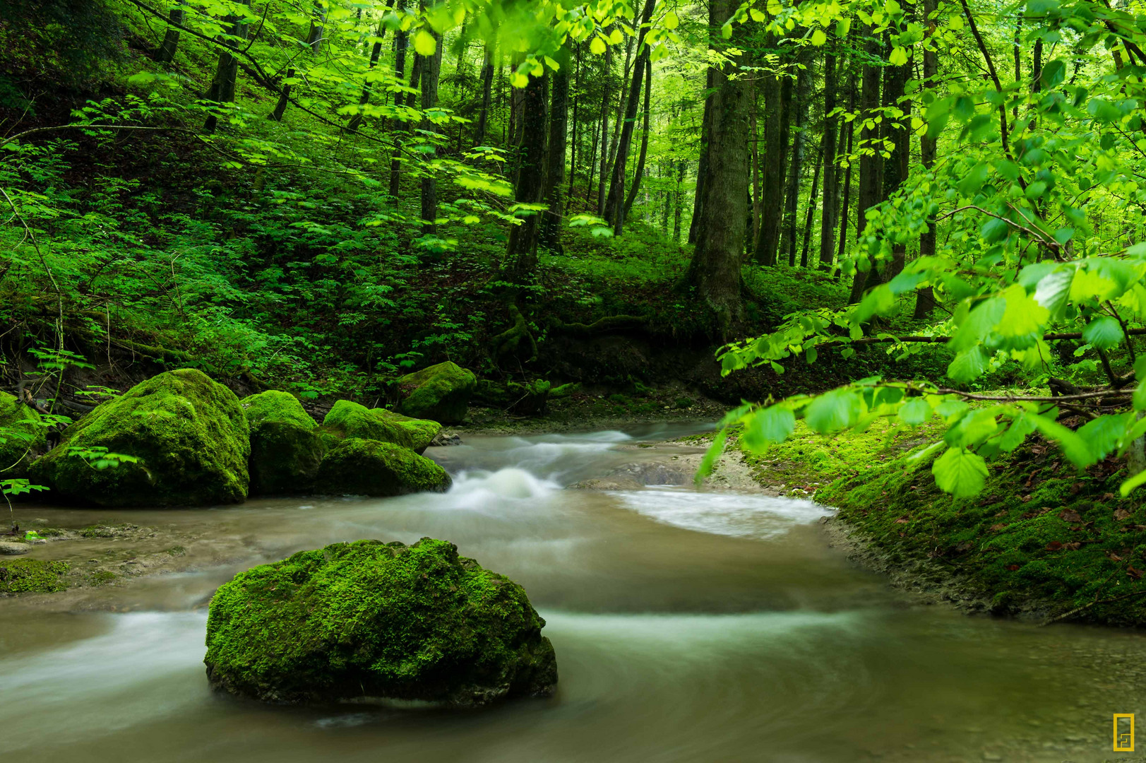 Moosbewachsener Stein im Bach