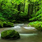 Moosbewachsener Stein im Bach