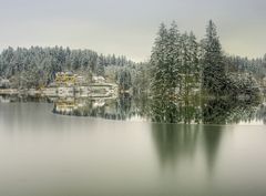 Moosburger Teich im Winter