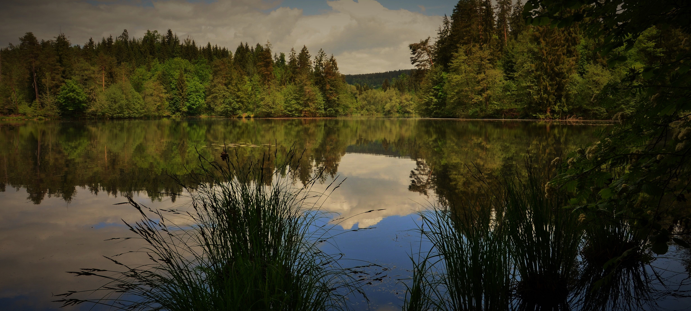 Moosburger Teiche Foto & Bild landschaft, jahreszeiten, sommer Bilder