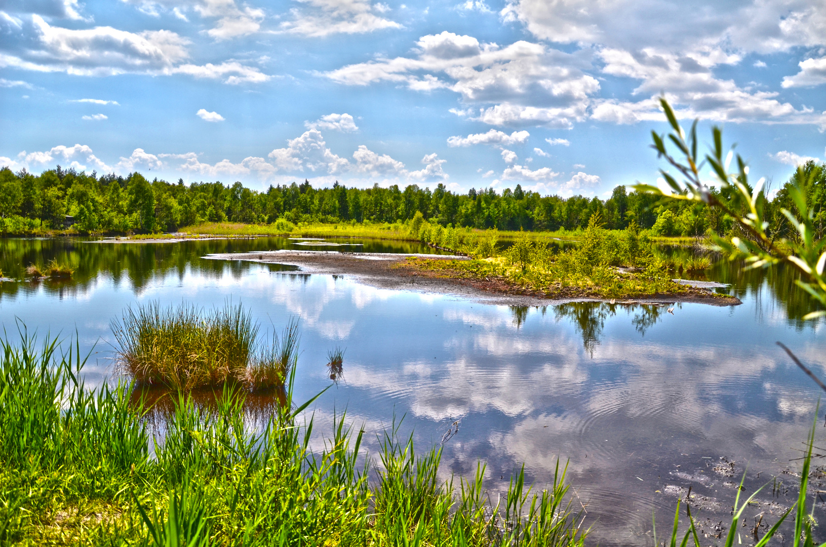 Moosdorfer Moor II