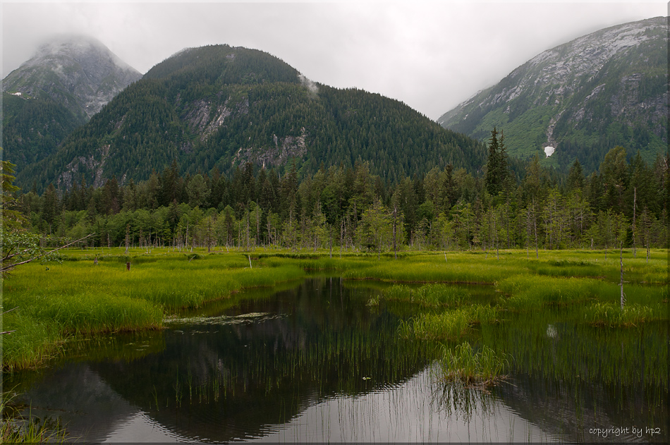 Moose Pond Hyder