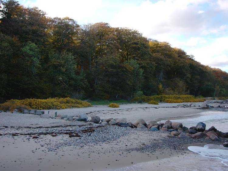 Moosgaarden im Herbst