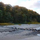 Moosgaarden im Herbst