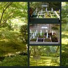 Moosgarten des Ginkaku-ji