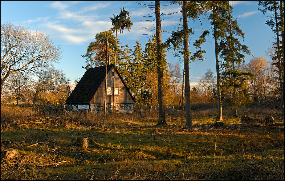 mooslandschaft