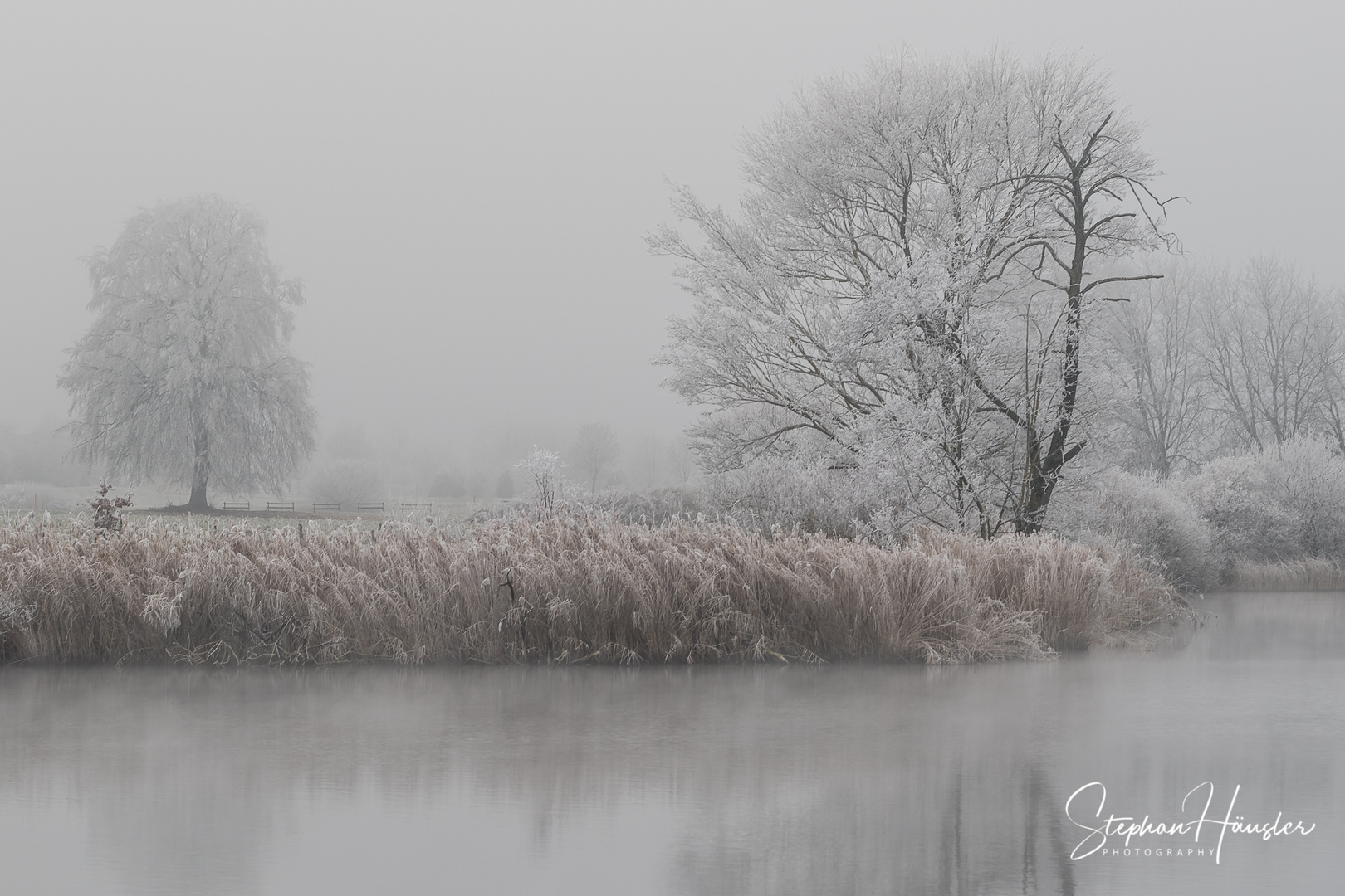 Moossee im Nebel