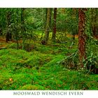 Mooswald 2