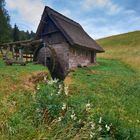 Mooswaldmühle im Schwarzwald