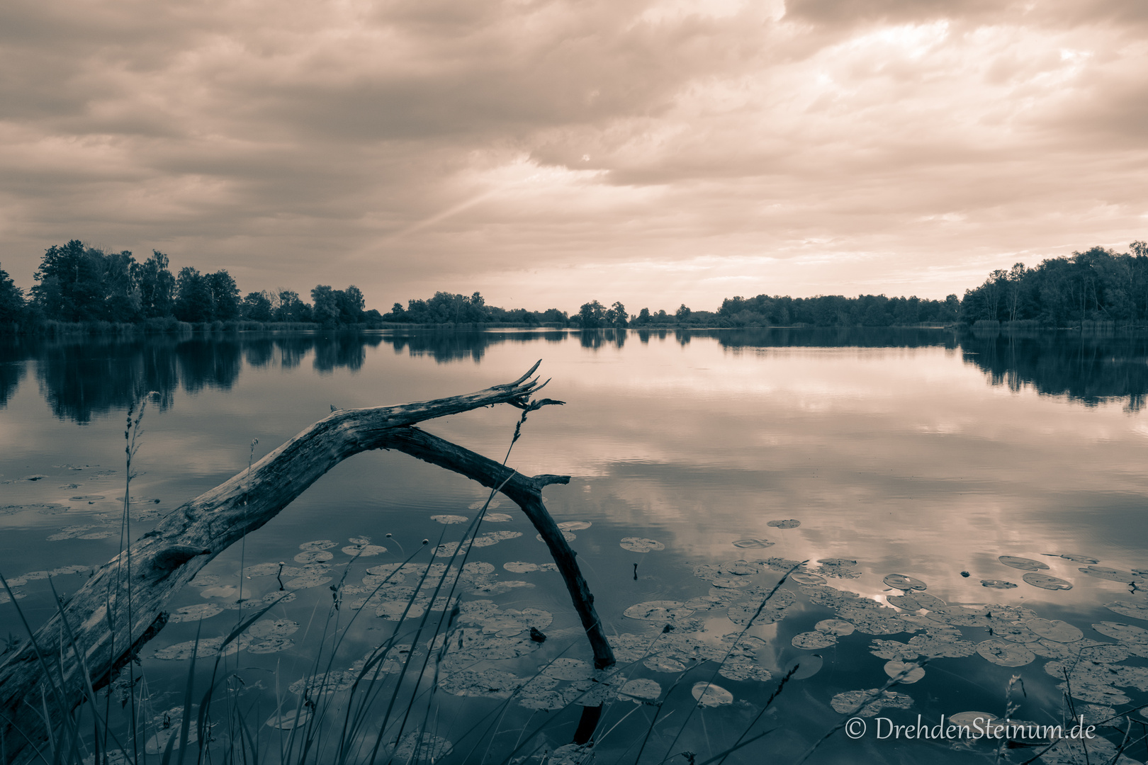 Mooswaldsee bei Günzburg