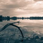 Mooswaldsee bei Günzburg