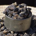 Mopanewürmer auf einem Markt in Nord-Namibia)