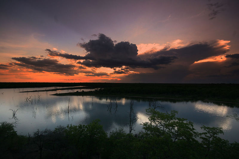 Mopani Sunset