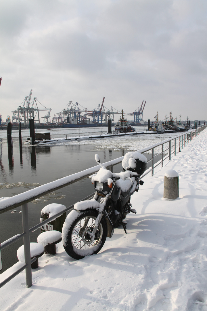 Moped im Schnee ( Hamburg Hafen 2010