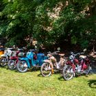 Moped - Parade  -