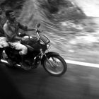 -moped rider-