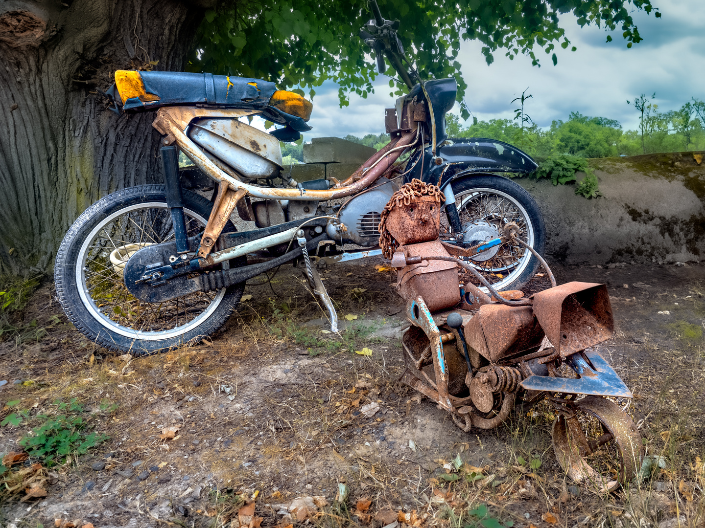 Mopeds für Groß und Klein