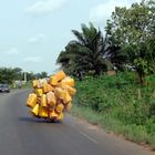 Moped´s in Benin #1