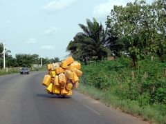 Moped´s in Benin #1