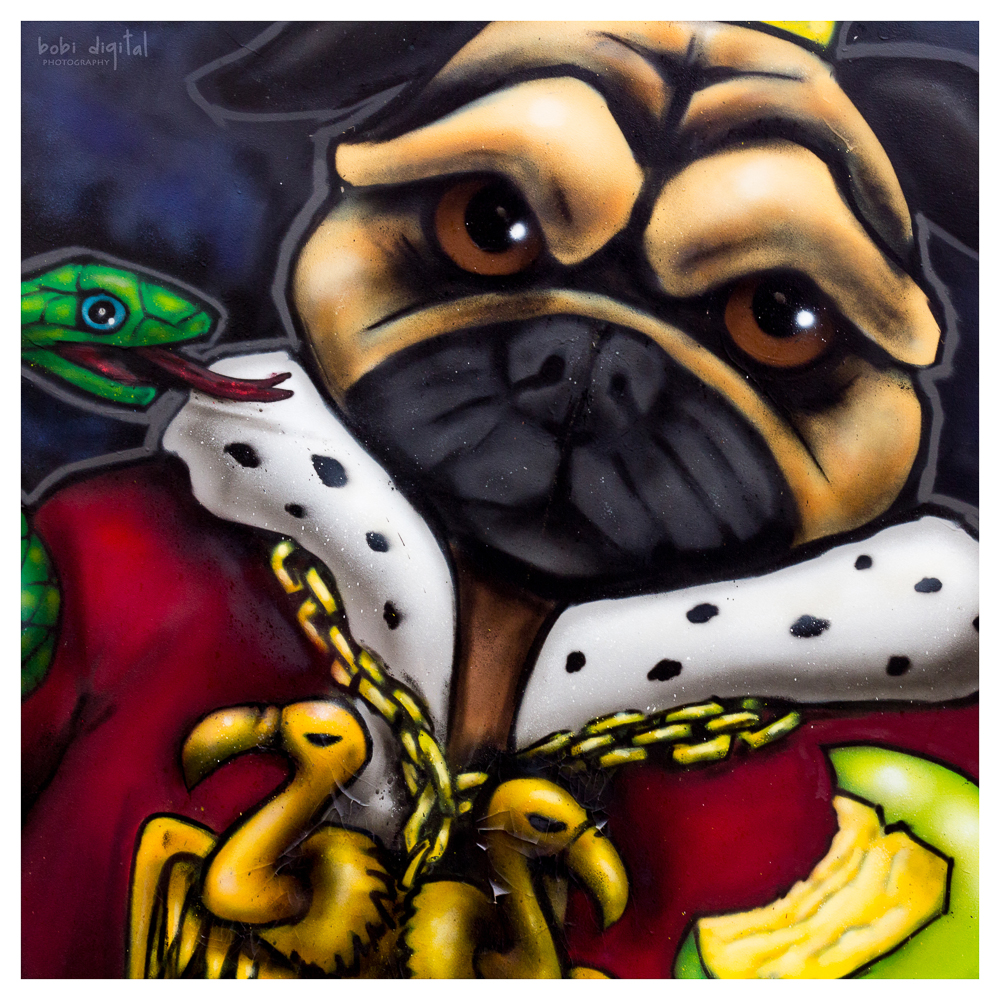 mops .. Foto & Bild streetart, graffiti & tags, kunstfotografie