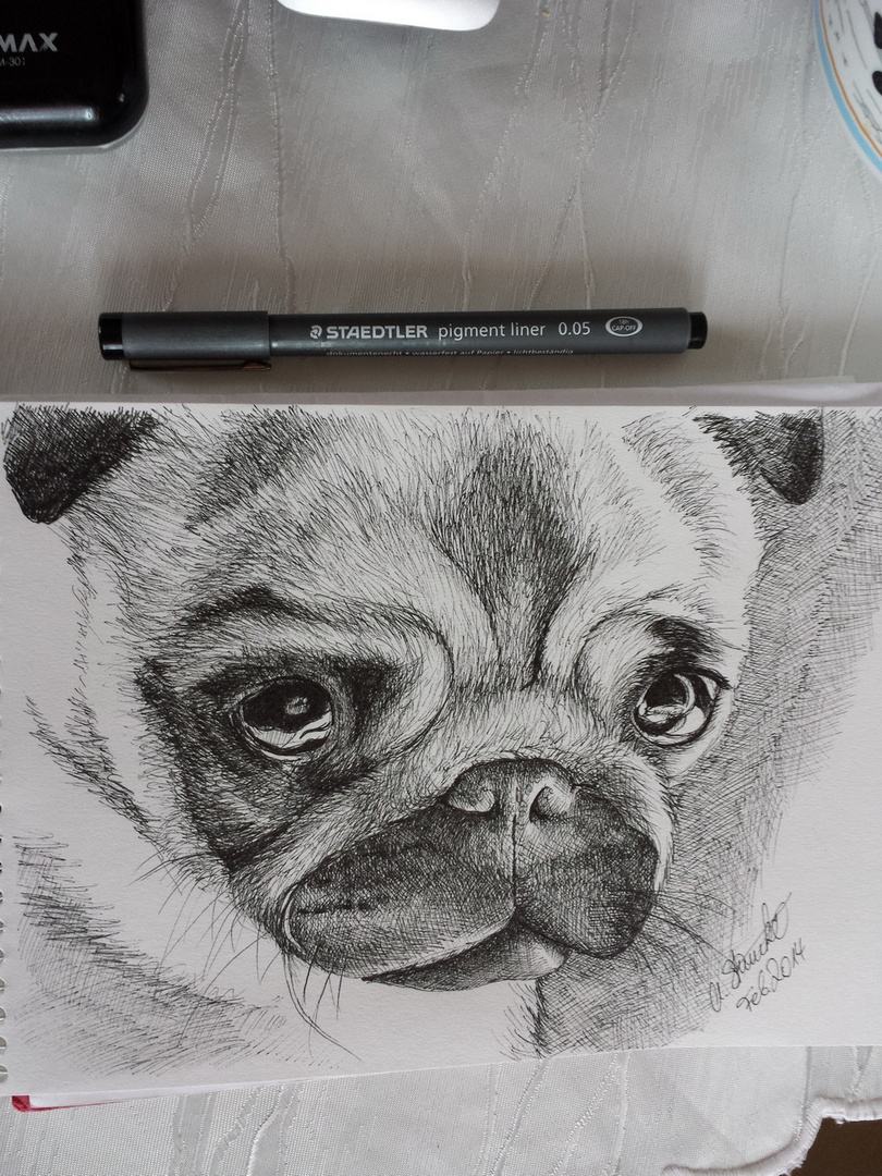 Mops die 2.! Ich hab fertig! :D