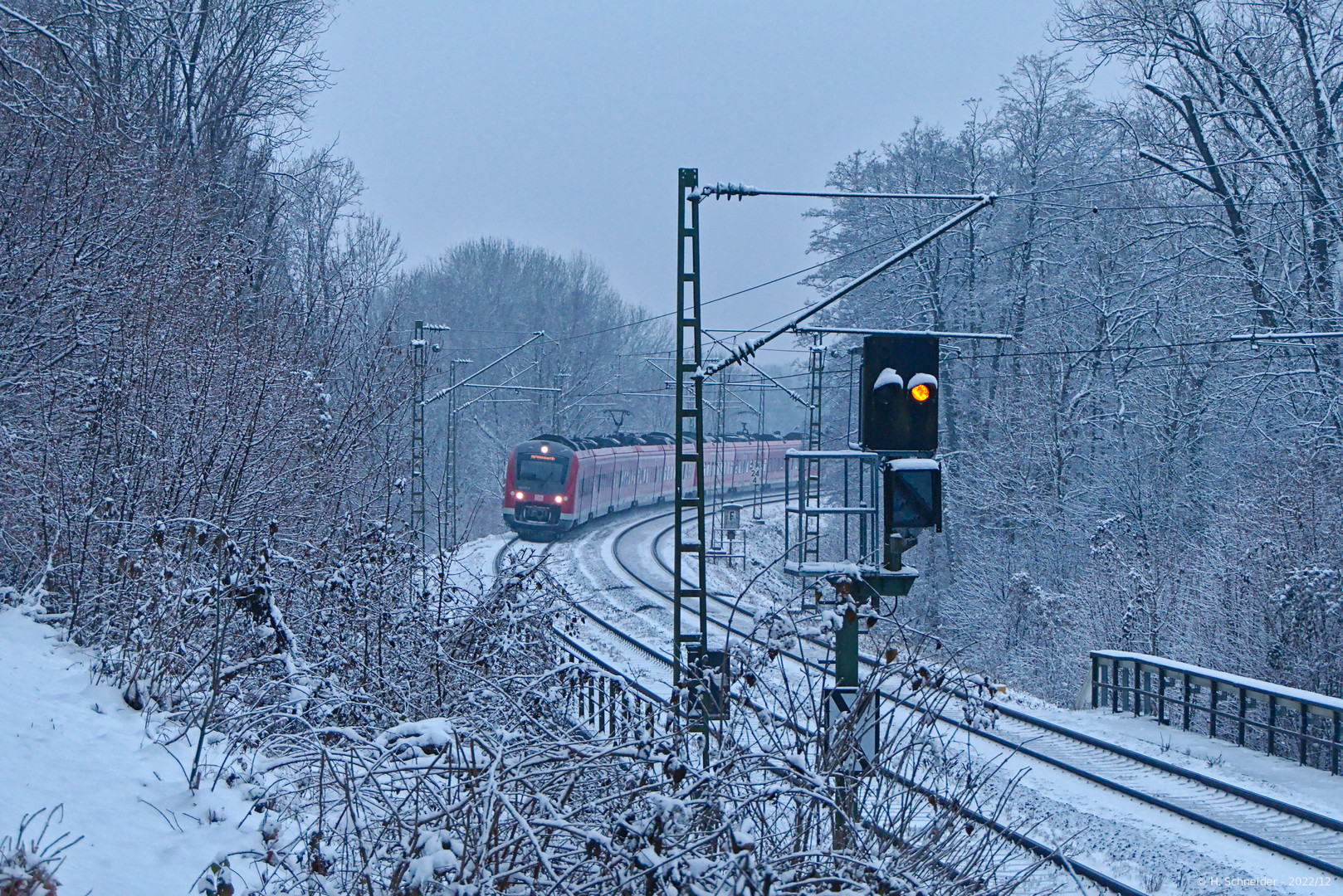 "Mops" im Schnee