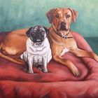 Mops & Ridgeback