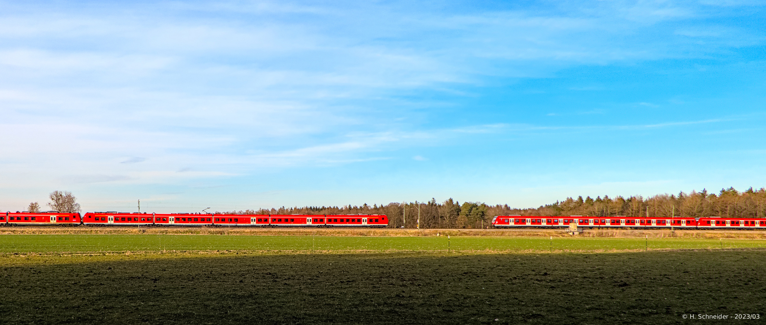 Mops trifft S-Bahn