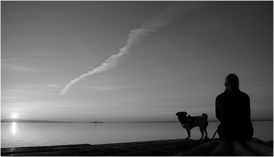 Mops Und Meer