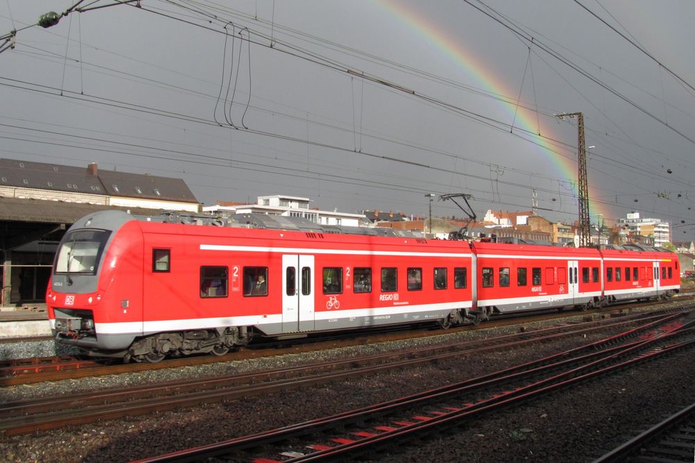 Mops und Regenbogen