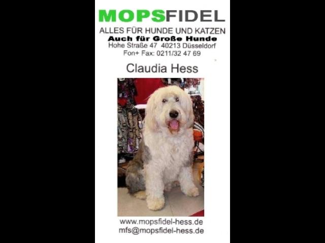 Mopsfidel / ALLES FÜR KATZE UND HUND