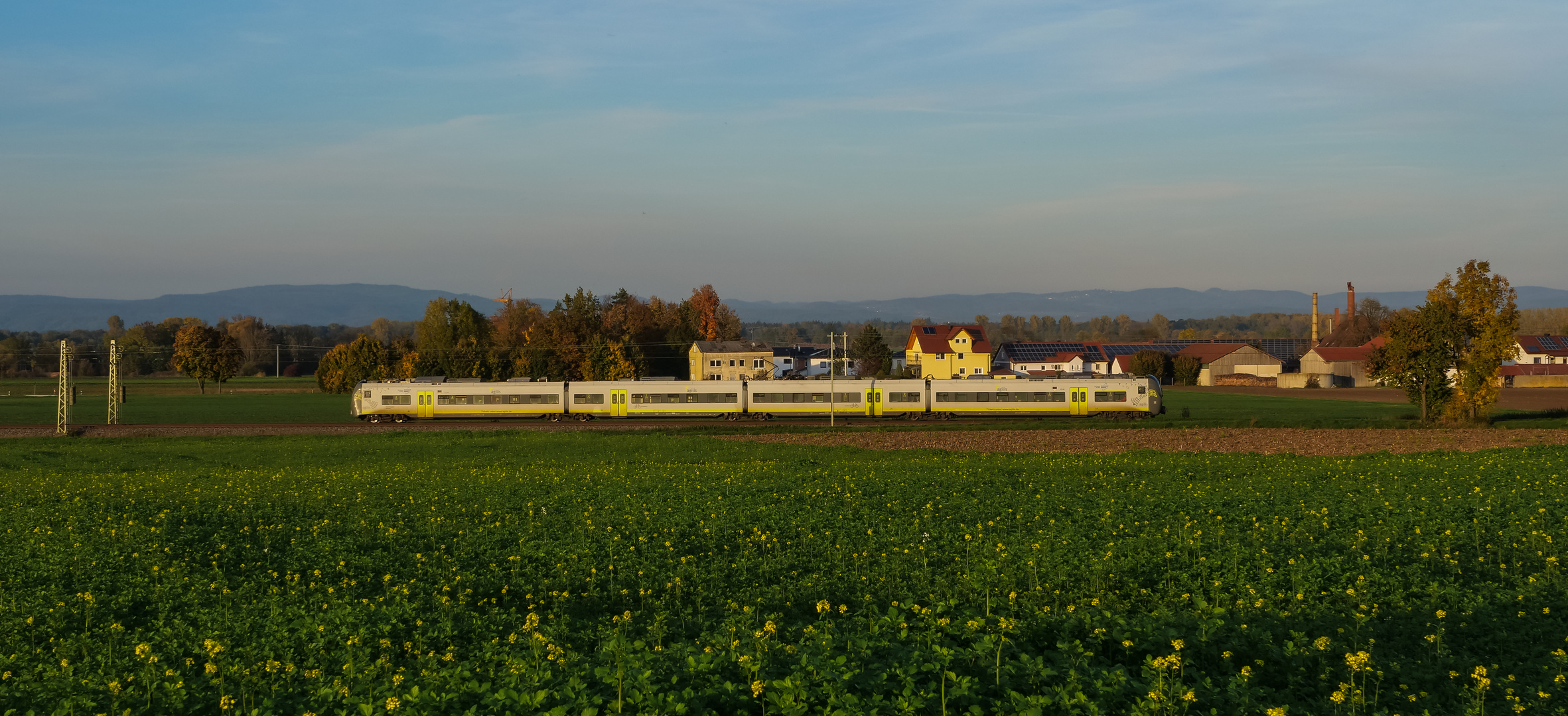 "Mopsnase" unterwegs