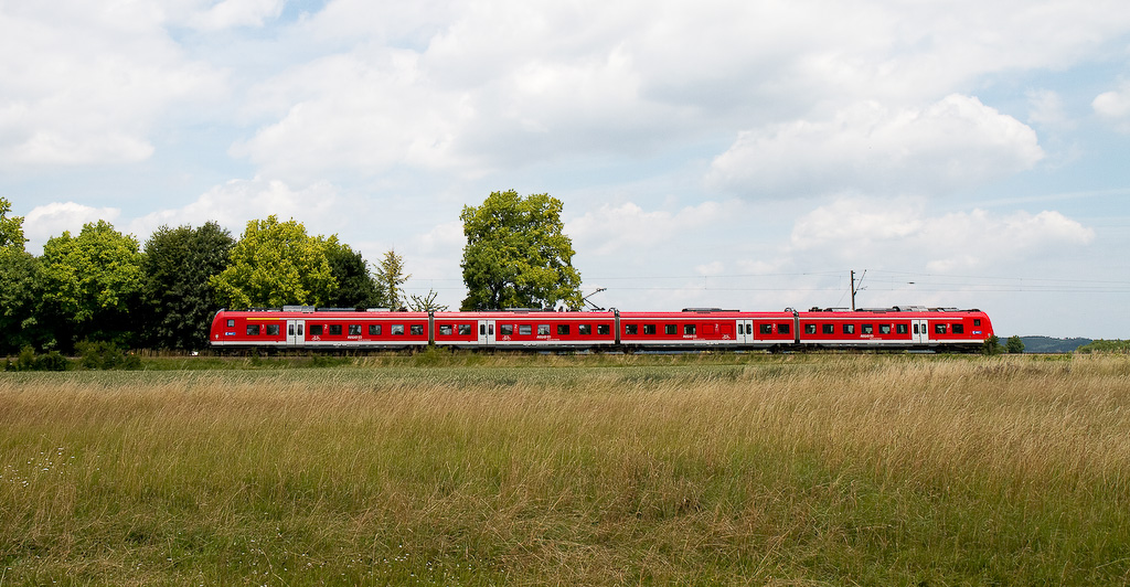 Mopsnasen in Niederbayern I